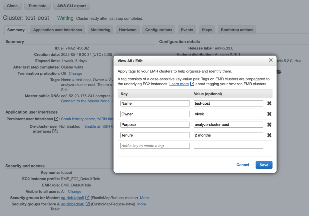 EMR Cluster View